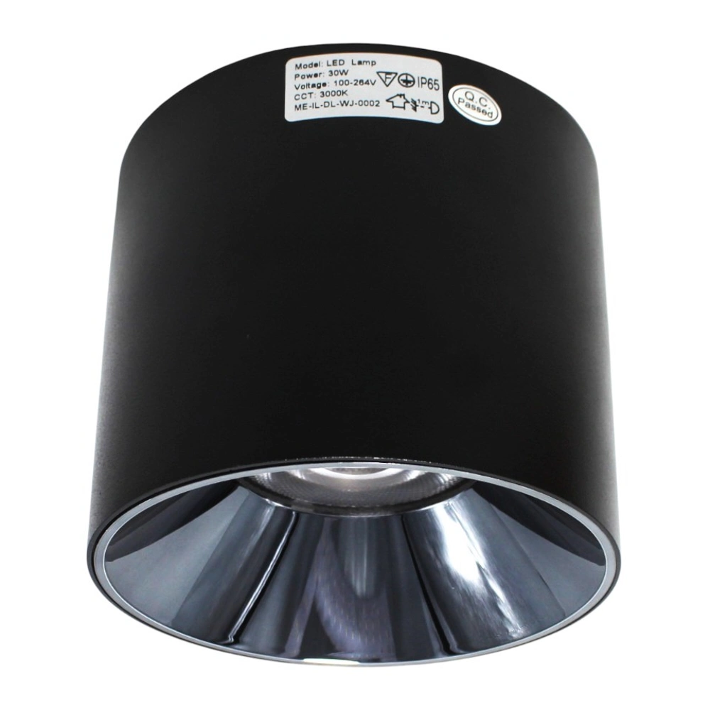 Downlight Exterior de Superficie Cilindro 20W Negro