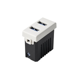 [10491] Posicion Doble USB Modena Elettrica